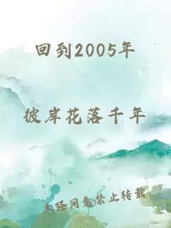 回到2005年