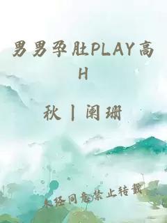 男男孕肚PLAY高H