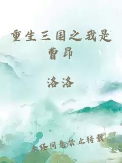 重生三国之我是曹昂