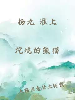 杨九 淮上