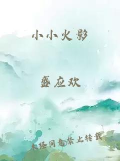 小小火影