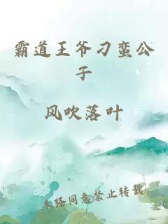 霸道王爷刁蛮公子