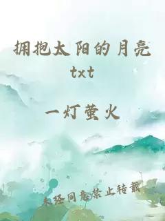 拥抱太阳的月亮txt