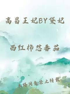 高昌王妃BY黛妃