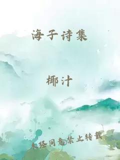 海子诗集