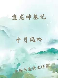 盘龙神墓记