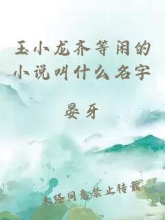 玉小龙齐等闲的小说叫什么名字