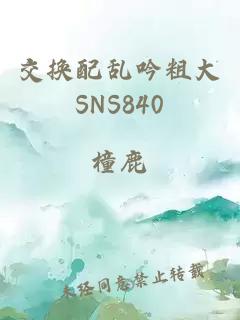 交换配乱吟粗大SNS840