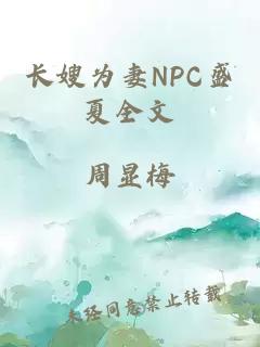 长嫂为妻NPC盛夏全文