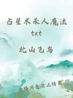 占星术杀人魔法txt