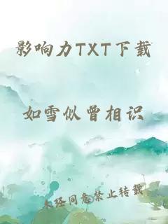 影响力TXT下载