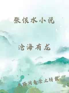 张恨水小说