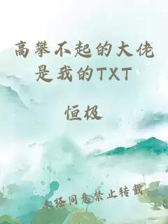 高攀不起的大佬是我的TXT