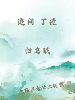 追问 丁捷