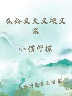 么公又大又硬又深