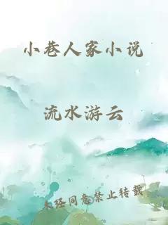 小巷人家小说