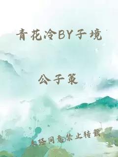 青花冷BY子境