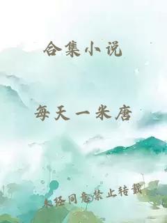 合集小说