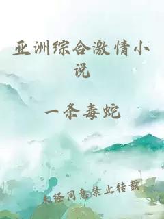 亚洲综合激情小说