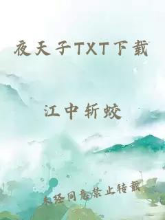 夜天子TXT下载