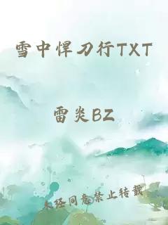 雪中悍刀行TXT