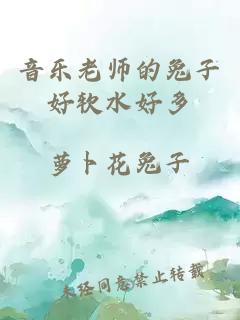 音乐老师的兔子好软水好多