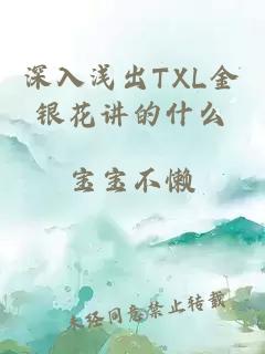 深入浅出TXL金银花讲的什么