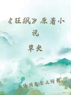 《狂飙》原著小说