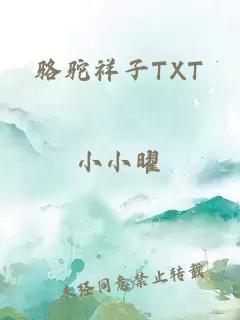 骆驼祥子TXT