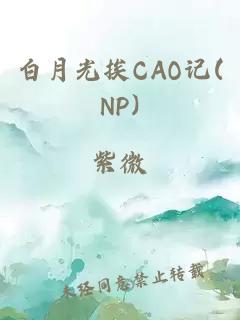 白月光挨CAO记(NP)