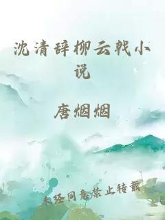 沈清辞柳云戟小说