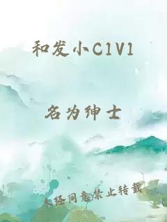 和发小C1V1