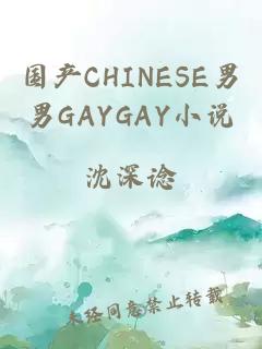 国产CHINESE男男GAYGAY小说