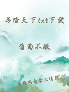 马踏天下txt下载