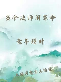 当个法师闹革命