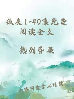 抓灰1-40集免费阅读全文