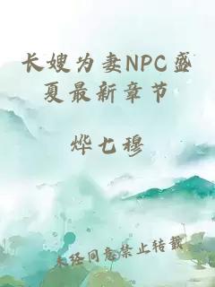 长嫂为妻NPC盛夏最新章节