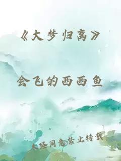 《大梦归离》