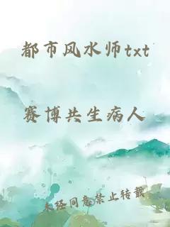 都市风水师txt