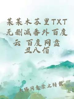 某某木苏里TXT无删减番外百度云 百度网盘