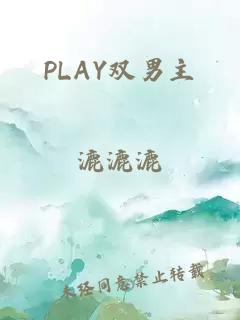 PLAY双男主