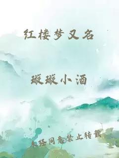 红楼梦又名