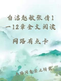 白洁赵敏张倩1一12章全文阅读