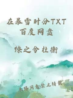 在暴雪时分TXT百度网盘