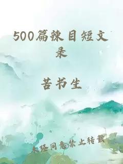 500篇辣目短文录