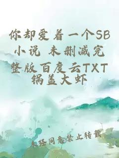 你却爱着一个SB小说 未删减完整版百度云TXT