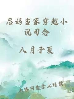 后妈当家穿越小说司念