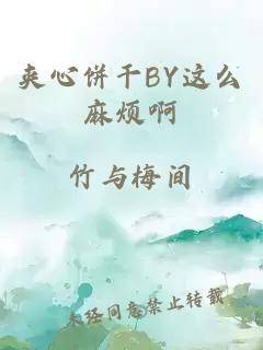 夹心饼干BY这么麻烦啊