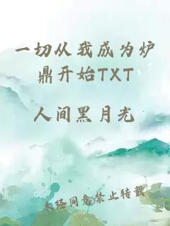 一切从我成为炉鼎开始TXT