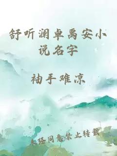 舒听澜卓禹安小说名字